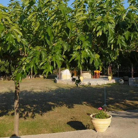 Apartment μaria αpartments Apolpaina